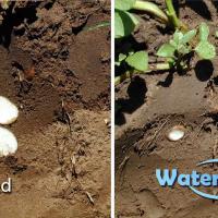 WaterMaxx2: Improving Water Movement